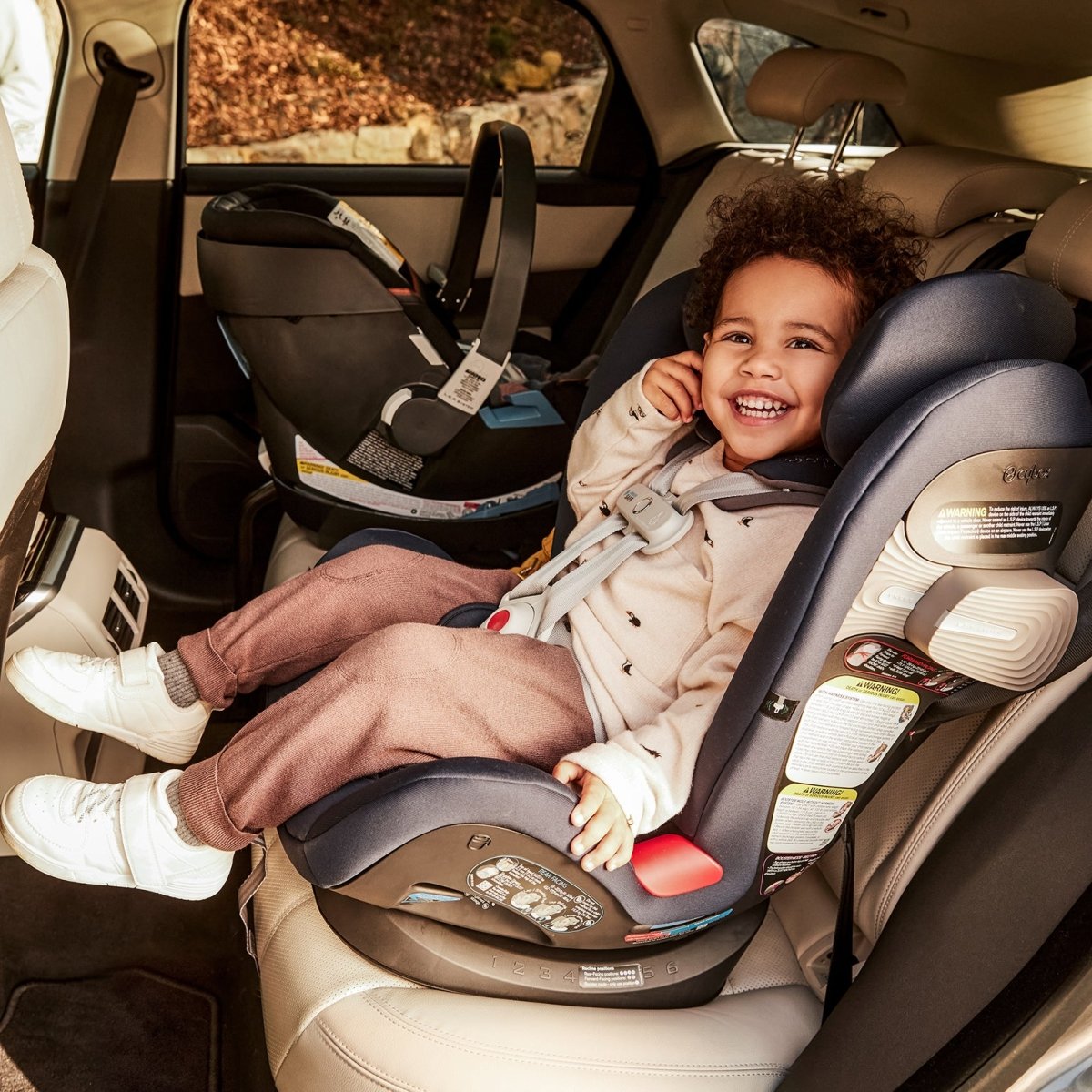 ¿Verdadero o Falso? No todas las sillas de auto sirven para todos los niños - Mini Nuts - Expertos en sillas de auto y coches de paseo para bebés