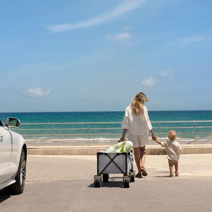 Carrito de transporte plegable Rollster - KinderKraft - Mini Nuts - Expertos en sillas de auto y coches de paseo