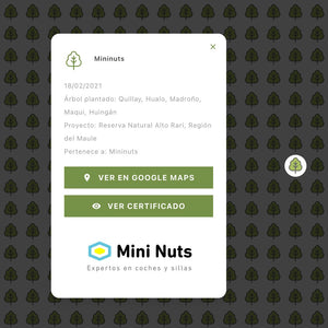 Donación Fundación Reforestemos - MiniNuts-MiniNuts expertos en coches y sillas de auto para bebé