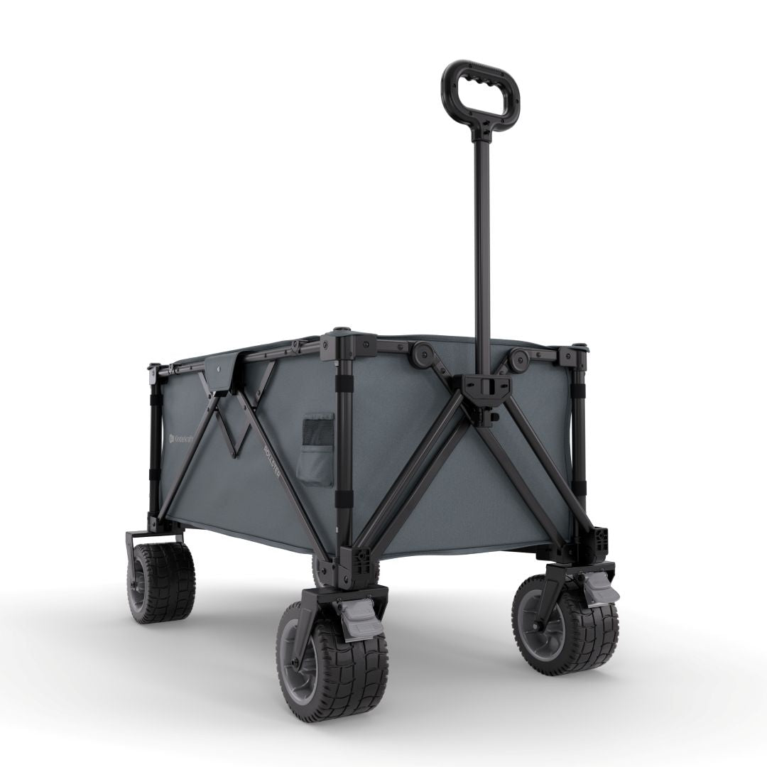 Carrito de transporte plegable Rollster