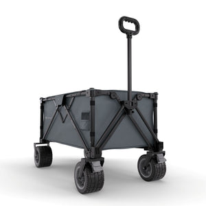 Carrito de transporte plegable Rollster