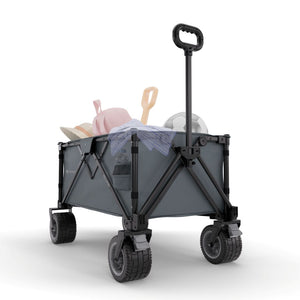 Carrito de transporte plegable Rollster