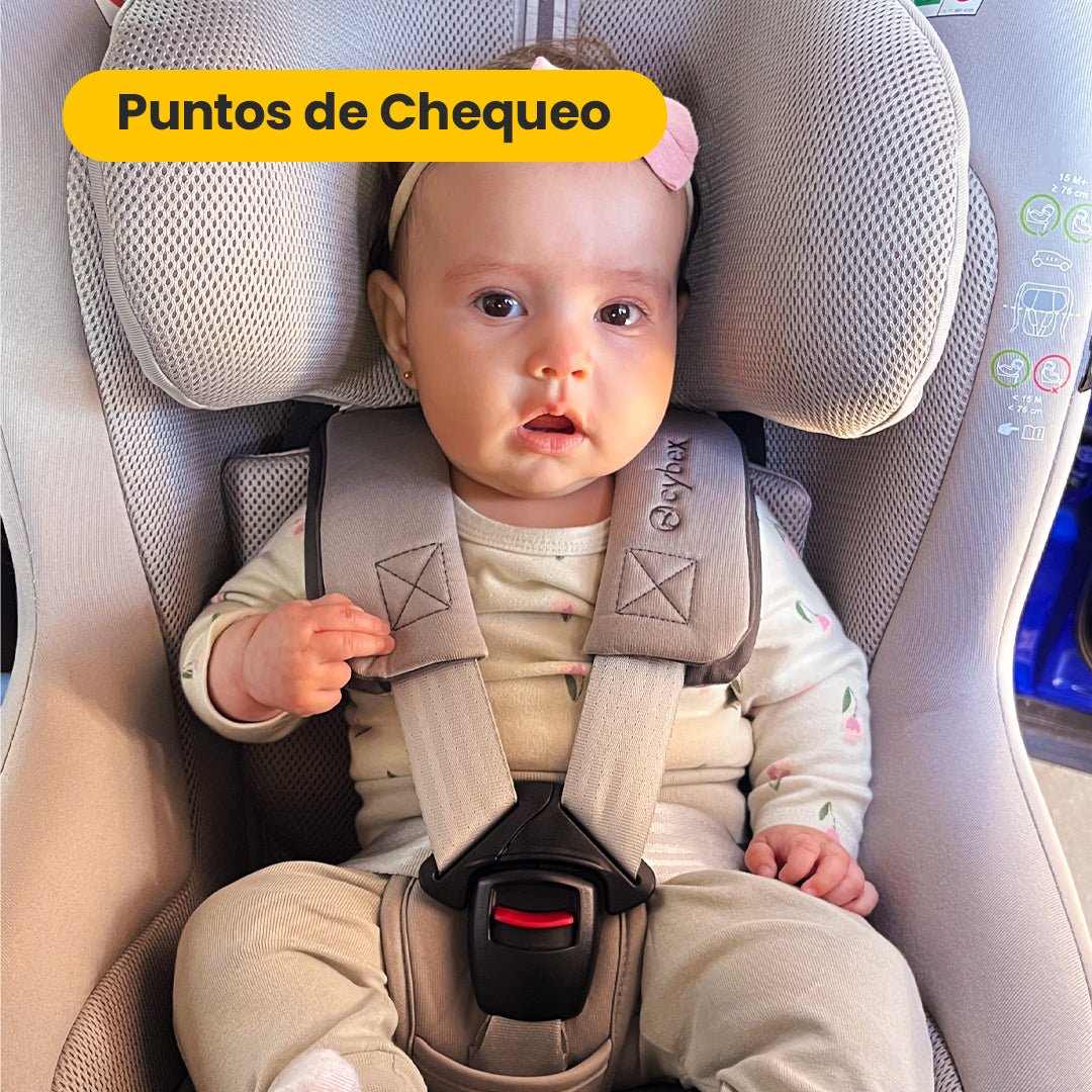 Agendamiento Punto de Chequeo 15/01/2026 - vista principal