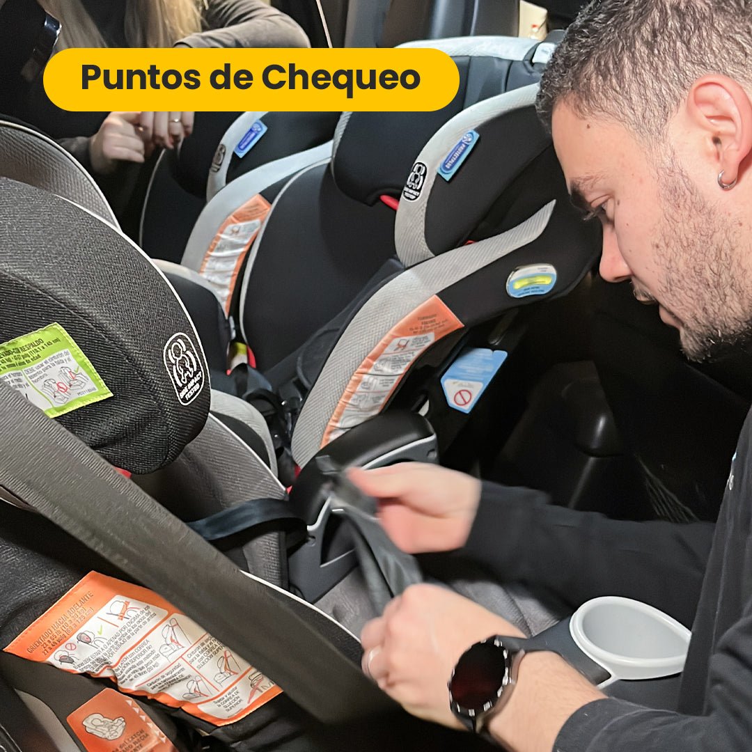 Agendamiento Punto de Chequeo 15/01/2026 - vista principal