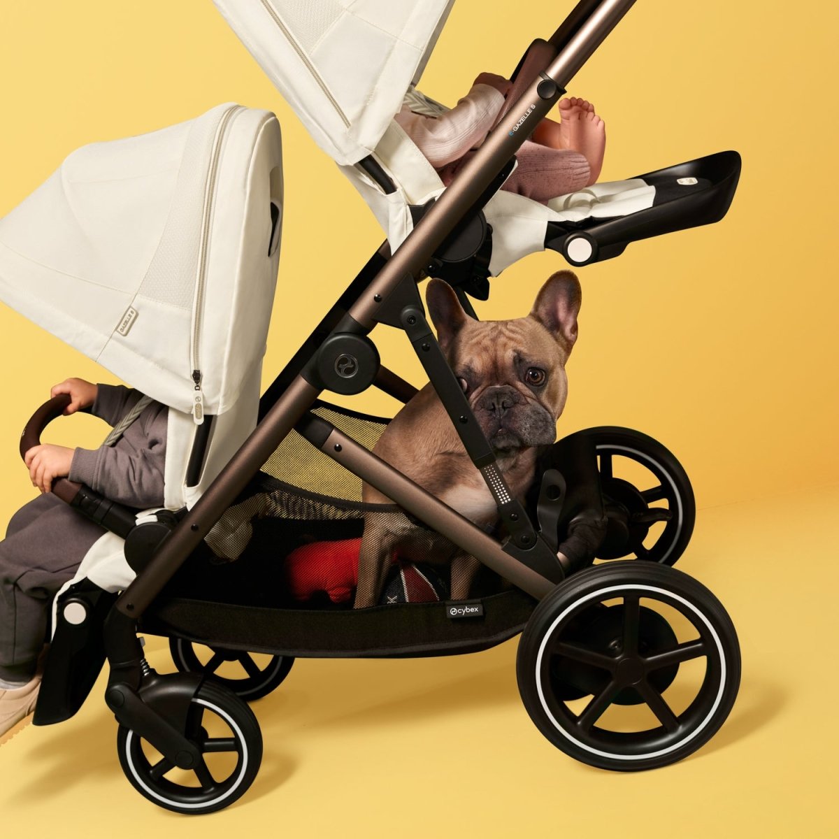 Arma tu Travel System: e - Gazelle S - Cybex Gold - Mini Nuts - Expertos en sillas de auto y coches de paseo