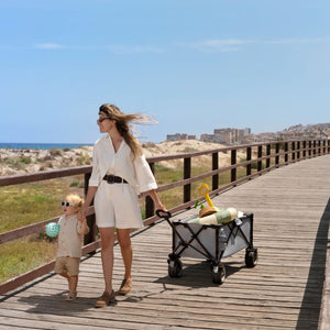 Carrito de transporte plegable Rollster - KinderKraft - Mini Nuts - Expertos en sillas de auto y coches de paseo