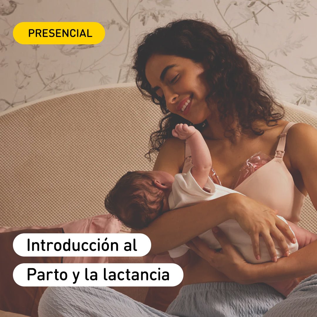 Charla Introducción al Parto y la lactancia - Mini Nuts - Mini Nuts - Expertos en sillas de auto y coches de paseo