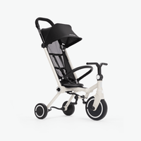 Coche Triciclo Plegable Wonder