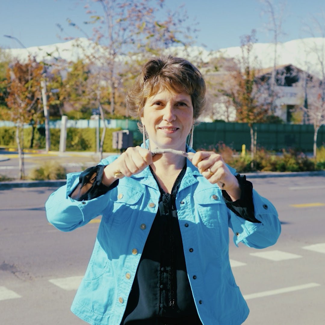 Conceptos Básicos sobre Seguridad Vial Infantil - Academia Mini Nuts - Mini Nuts - Expertos en sillas de auto y coches de paseo