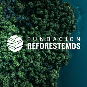 Donación Fundación Reforestemos - MiniNuts-MiniNuts expertos en coches y sillas de auto para bebé