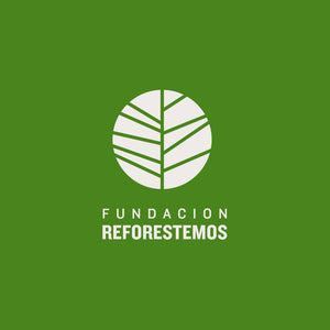 Donación Fundación Reforestemos - MiniNuts-MiniNuts expertos en coches y sillas de auto para bebé