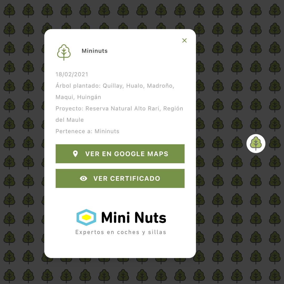 Donación Fundación Reforestemos - MiniNuts-MiniNuts expertos en coches y sillas de auto para bebé