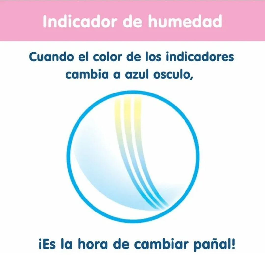 Pañales desechables Merries Aprendizaje (Pull Up) - dimensiones