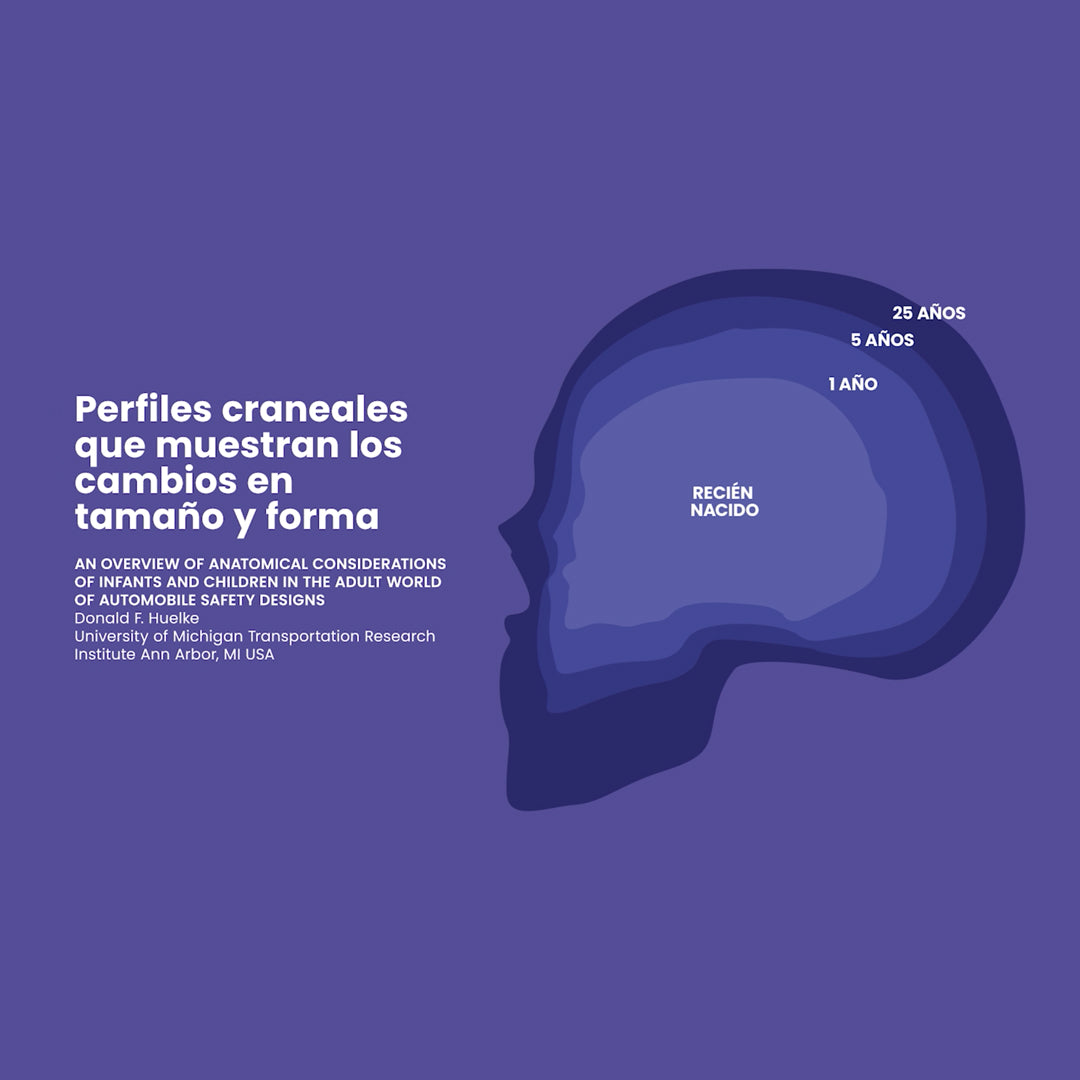Conceptos Básicos sobre Seguridad Vial Infantil