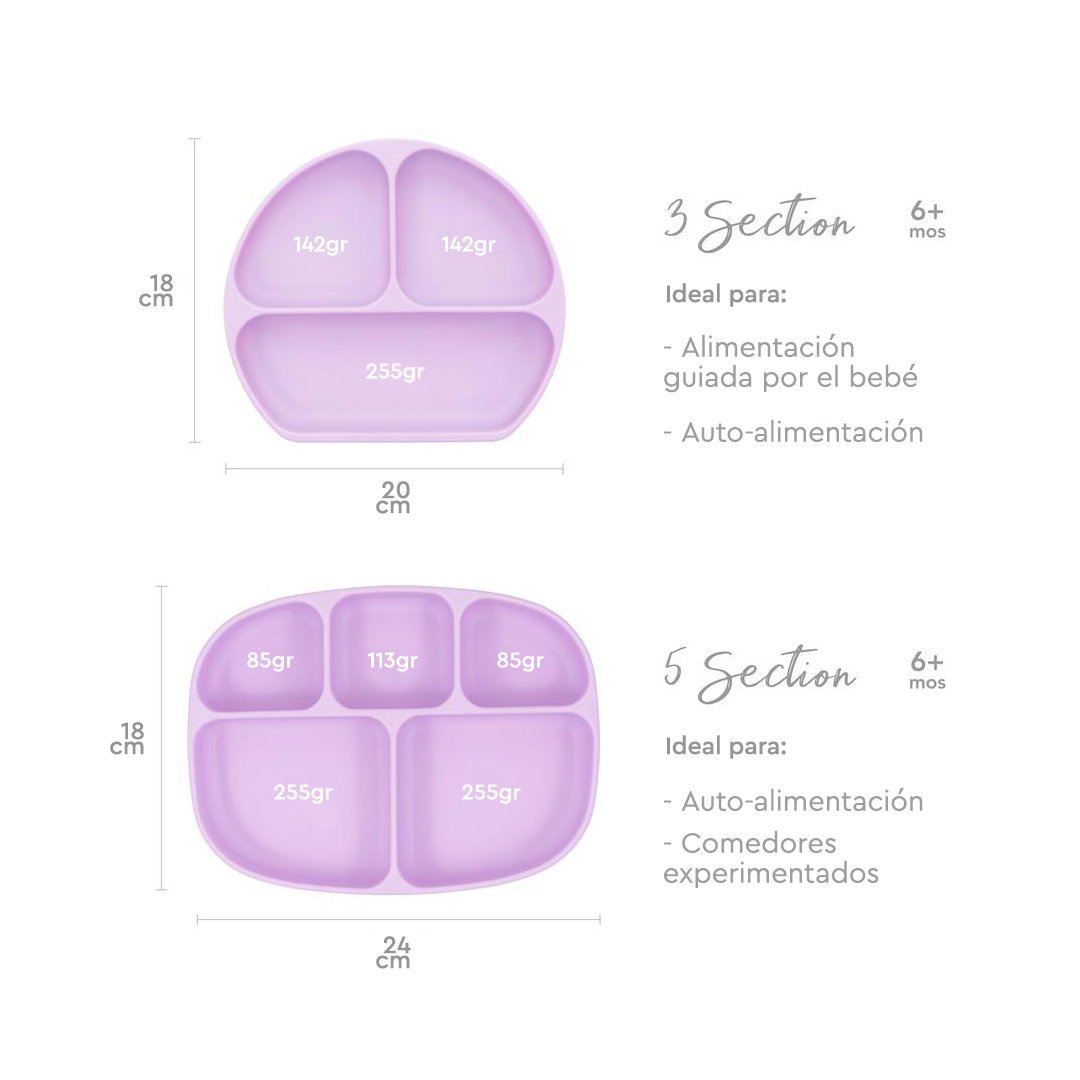 Plato con agarre + tapa Grip Dish & Stretch Lid Bumkins - Bumkins-MiniNuts