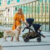 Travel System Gazelle S TPE + Aton 5 + Base - Cybex-MiniNuts expertos en coches y sillas de auto para bebé