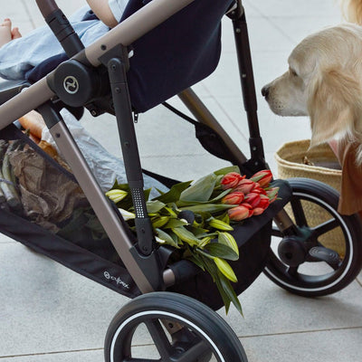 Travel System Gazelle S TPE + Aton 5 + Base - Cybex-MiniNuts expertos en coches y sillas de auto para bebé